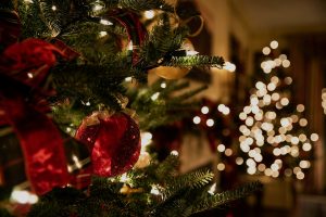 christmas tree and lighting, seasonal decorating services by professional organizer